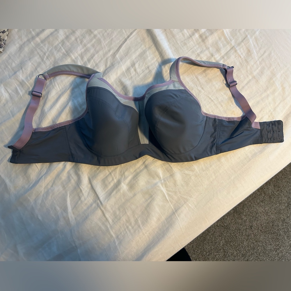 Panache Gray and Purple Full-Coverage Bra